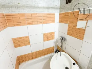 Pronájem výrobních prostor, Lišov, Miletínská, 1000 m2