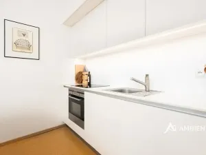 Prodej bytu 6+kk a větší, Brno, 171 m2