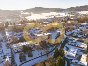 Prodej bytu 1+1, Větřní, Šumavská, 40 m2