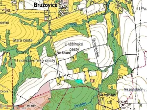 Prodej lesa, Bruzovice, 6273 m2