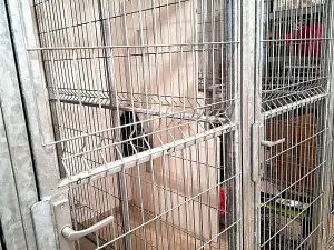 Pronájem bytu 2+kk, Brno, 60 m2