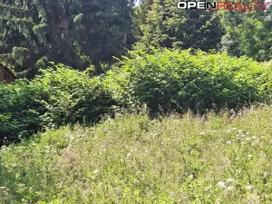 Prodej rodinného domu, Žítková, 80 m2