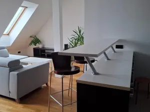 Pronájem bytu 2+kk, Brno, Kounicova, 52 m2