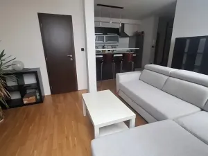 Pronájem bytu 2+kk, Brno, Kounicova, 52 m2