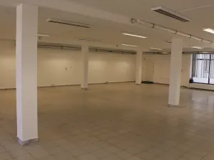 Pronájem obchodního prostoru, Prostějov, Wolkerova, 390 m2