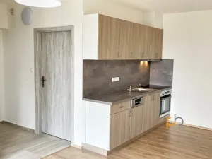 Pronájem bytu 1+kk, Pyšely, Sedlákova, 30 m2