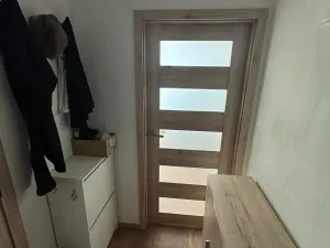 Pronájem bytu 1+kk, Brno, Dřevařská, 40 m2