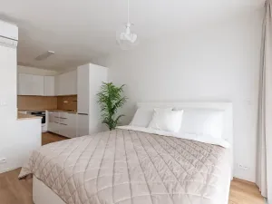 Pronájem bytu 1+kk, Brno, Lidická, 41 m2