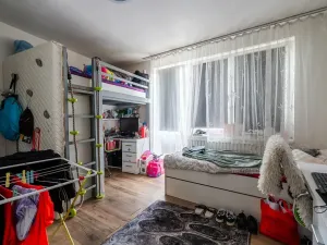 Prodej vícegeneračního domu, Ostopovice, U Kaple, 450 m2