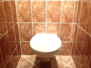 Pronájem bytu 3+1, Hlinsko, Budovatelů, 62 m2