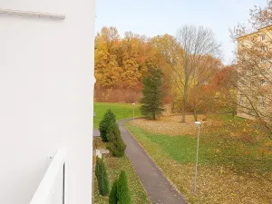 Prodej bytu 2+1, Chomutov, Václavská, 51 m2