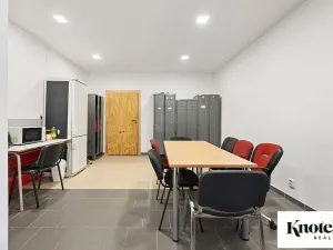 Pronájem výrobních prostor, Račice-Pístovice, 479 m2