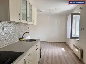 Pronájem bytu 1+kk, Bučovice, Revoluční, 30 m2