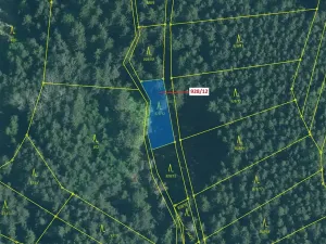 Dražba lesa, Hosty, 418 m2