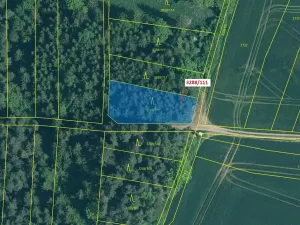 Dražba lesa, Hosty, 978 m2