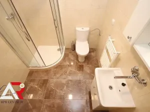 Pronájem bytu 1+kk, Brno, Táborská, 28 m2