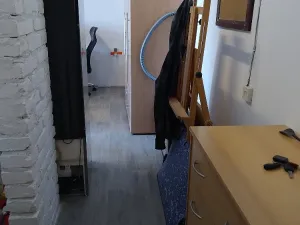 Pronájem bytu 1+kk, Holovousy, 20 m2