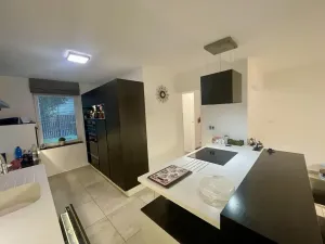 Prodej rodinného domu, Drahelčice, V Ruči, 185 m2