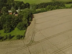 Prodej pole, Vyskeř, 3681 m2