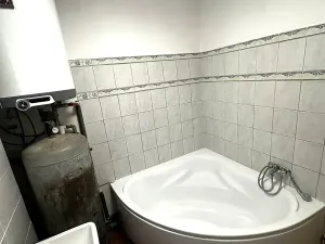 Pronájem bytu 4+kk, Plchov, 120 m2