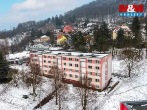 Prodej bytu 2+1, Ústí nad Labem - Střekov, Novoveská, 60 m2