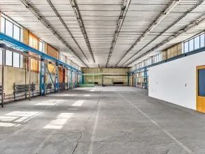 Pronájem skladu, Plzeň, Libušínská, 5000 m2