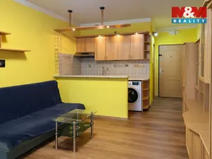 Pronájem bytu 1+kk, Strakonice - Přední Ptákovice, Šumavská, 25 m2