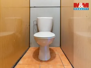 Prodej bytu 2+1, Cheb, Dvořákova, 56 m2