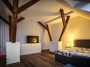 Pronájem apartmánu, Ostrava, Cihelní, 38 m2