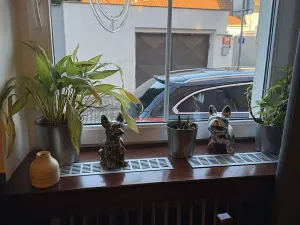 Pronájem restaurace, Praha - Čakovice, Cukrovarská, 155 m2