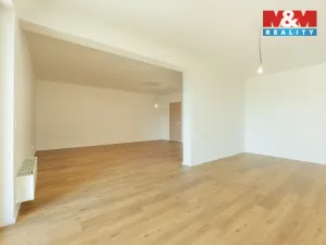 Prodej bytu 2+kk, Brandýs nad Labem-Stará Boleslav, Dřevčická, 65 m2