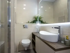 Pronájem bytu 1+kk, Ostrava, U Parku, 27 m2