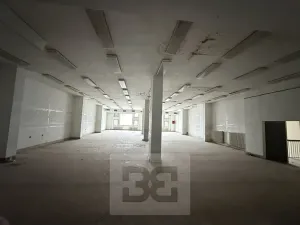 Prodej obchodního prostoru, Chomutov, Zahradní, 14070 m2