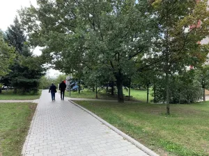 Pronájem obchodního prostoru, Brno - Židenice, Čejkovická, 16 m2