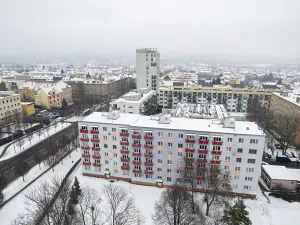 Prodej bytu 1+1, Brno, Svatopluka Čecha, 40 m2