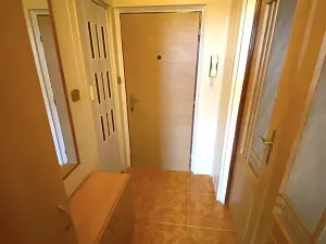 Pronájem bytu 1+1, Plzeň, Kralovická, 39 m2