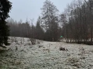 Prodej podílu lesa, Vacov, 23843 m2