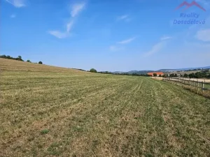 Prodej pozemku, Málkov, 20000 m2