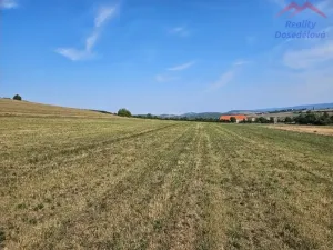 Prodej pozemku, Málkov, 20000 m2