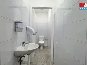 Pronájem obchodního prostoru, Louny, Říční, 216 m2