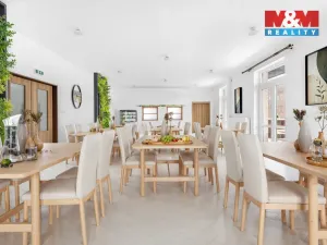 Prodej ubytování, Borušov - Svojanov, 1890 m2