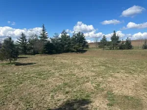 Prodej pozemku pro bydlení, Libědice, 1786 m2