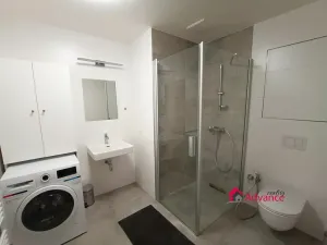 Pronájem bytu 1+kk, Ostrava, Důlní, 54 m2