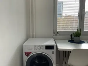 Pronájem bytu 1+1, Ostrava, Opavská, 35 m2