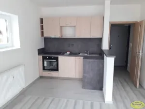 Pronájem bytu 1+kk, Litovel, Severní, 48 m2