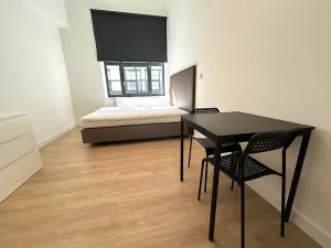 Pronájem bytu 1+kk, Praha - Vysočany, Poděbradská, 25 m2