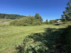 Prodej pozemku, Dolní Dobrouč - Horní Dobrouč, 6634 m2