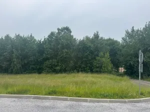 Dražba pozemku pro bydlení, Slavče, 1251 m2