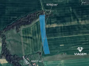 Prodej podílu pole, Osvětimany, 6119 m2