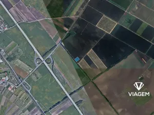 Prodej pole, Podivín, 3815 m2